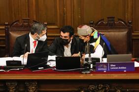 Columna de Valentina Rosas: Smok, Valladares y los kellufes constituyentes