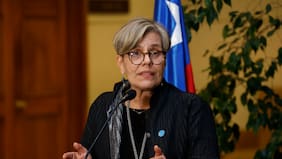Diputada Lorena Fries presidirá la comisión investigadora sobre controles a menores migrantes por reunificación familiar