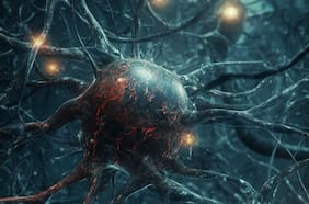 ¿Cómo son realmente las neuronas? Científicos descubren la verdadera forma de esta estructura cerebral