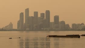 “Francamente perjudicial para salud”: incendios forestales ponen en riesgo la final del Mundial entre Argentina y España