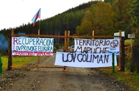 Protesta pacífica y usurpación