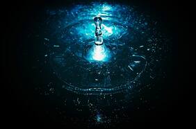 ¿Busca la fuente de la eterna juventud? Estos son los cinco métodos más prometedores para extender la vida según la ciencia, que incluyen una planta de Isla de Pascua