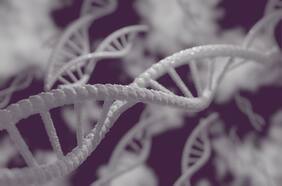 Científicos logran controlar la caótica proteína que alimenta el 75% de los cánceres