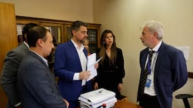 Manouchehri y Cicardini ingresan acusación constitucional contra el supremo Diego Simpertigue por trama bielorrusa