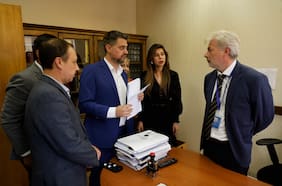 Manouchehri y Cicardini ingresan acusación constitucional contra el supremo Diego Simpertigue por trama bielorrusa