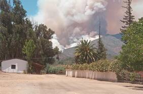 Alcaldesa de Quilpué asegura que incendio forestal no representa riesgo para sectores poblados de la comuna