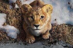 ¿Dónde ver Mufasa, la nueva película de El Rey León?
