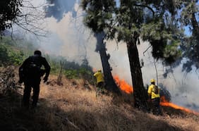 Incendios forestales: Elizalde afirma que “cada año nos preparamos de mejor forma”