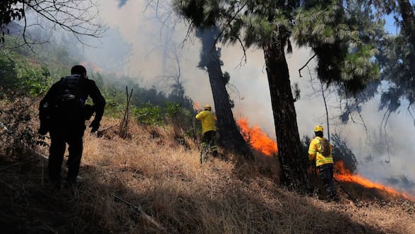 Incendios forestales en el Ñuble: piden evacuar sector de Bulnes y reiteran solicitud para La Dehesa, en Coihueco