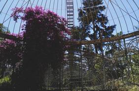 Tras un siglo de abandono, parte recuperación del olvidado invernadero de la Quinta Normal