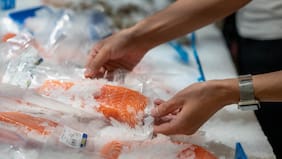 Las cartas de los gremios del salmón y la madera para ser excluidos del arancel de castigo de EE.UU. contra Chile