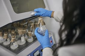 Crecer exige más que promesas: la paradoja de recortar innovación en el Presupuesto 2027