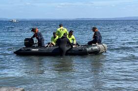 Fiscalía confirma que completó “diligencias iniciales” por accidente en que falleció el expresidente Sebastián Piñera