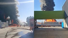 Incendio en empresa frutícola de Paine obliga a evacuar una escuela y un cesfam