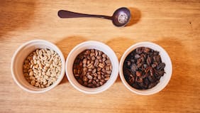 4 destinos en Perú que debes visitar si eres amante del café, según Harry Neira