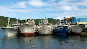 Subpesca compromete plazo para implementación de medidas que favorecen a la pesca artesanal por Ley de Fraccionamiento