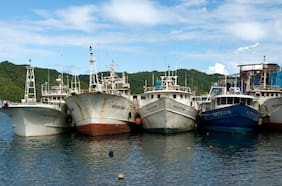 Subpesca compromete plazo para implementación de medidas que favorecen a la pesca artesanal por Ley de Fraccionamiento