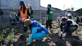 “Melí”, el nuevo Bosque de Bolsillo para reverdecer La Cisterna