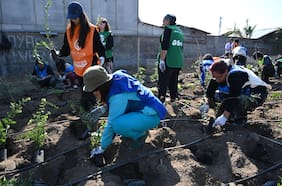 “Melí”, el nuevo Bosque de Bolsillo para reverdecer La Cisterna