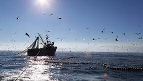 Barcos chinos aumentan ingresos en puertos chilenos: rigidez normativa en Perú habría provocado el movimiento
