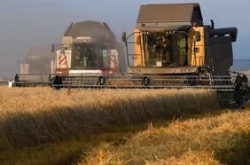 La advertencia para el trigo y el maíz: guerra entre Rusia y Ucrania seguirá presionando los precios, según BofA