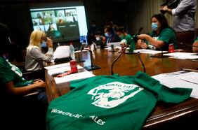 Comisión de Mujeres y Equidad de Género fija para el 21 de abril votación del proyecto de aborto