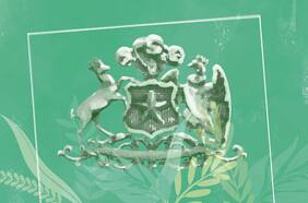 ¿Podemos tener una Constitución verde?