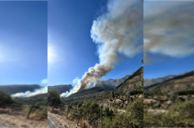 Equipos trabajan para evitar propagación de incendio en El Canelo hacia el interior del Cajón del Maipo