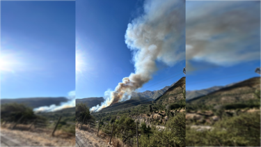 Declaran alerta roja en San José de Maipo por incendio forestal en ladera de cerro