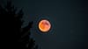 Eclipse lunar hoy: ¿A qué hora ver el evento de este jueves en Chile?