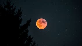 Eclipse lunar hoy: ¿A qué hora ver el evento de este jueves en Chile?