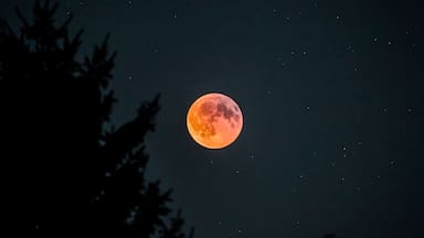 Eclipse lunar hoy: ¿A qué hora ver el evento de este jueves en Chile?