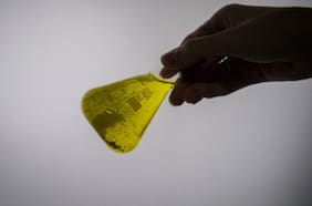 “Abre muchas posibilidades”: científicos de Stanford descubren compuesto natural que suprime el apetito