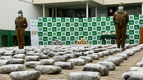 Incautan más de media tonelada de marihuana en patrullaje preventivo realizado en la Ruta 5 norte