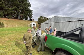 Realizan despliegue en parque Tepuhueico de Chiloé para buscar a joven tesista desaparecido