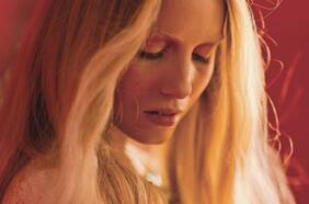 Pelo muy bien tratado