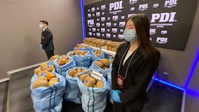 Droga iba ser acopiada en San Joaquín y distribuida en Ñuñoa: incautan 440 kilos de marihuana oculta en camioneta