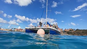 ¿Para qué sirve un zoom con inteligencia artificial?