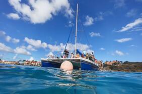 ¿Para qué sirve un zoom con inteligencia artificial?