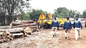 PDI desarticula asociación delictiva dedicada al robo de madera en Ñuble: 17 detenidos y $3 mil millones incautados