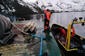 Nanoburbujas: el uso de la tecnología en la industria de cultivo