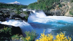 A 100 años del primer parque nacional, Chile inicia una nueva etapa en la gestión de la conservación
