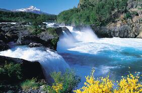 “Un tremendo aporte a la conservación”: Chile podría integrar sus áreas protegidas a sistema mundial