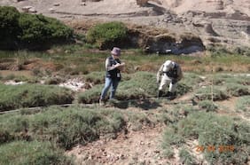 SMA formula cargos contra Minera Lomas Bayas por incumplimientos asociados a aguas subterráneas y monitoreo de flora y fauna