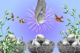 En el amor, tampoco debemos poner todos los huevos en la misma canasta