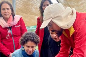 Así es el proyecto que busca llevar a ley el reciclaje de vegetales y productos orgánicos