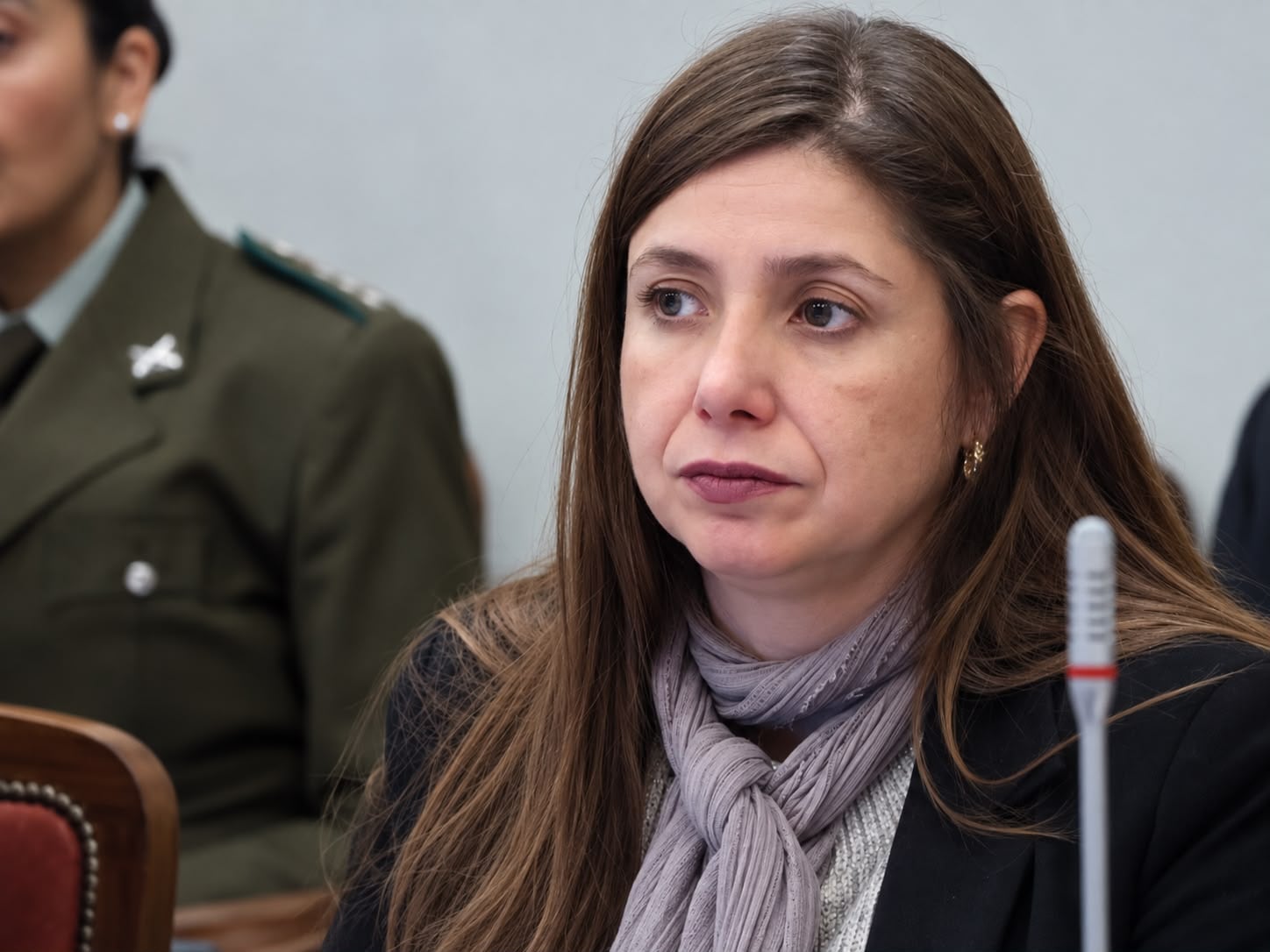 La subsecretaria de Seguridad Pública, Pilar Giannini.