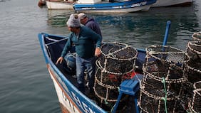 Gobierno retira proyecto de Ley General de Pesca para “someterlo a un proceso de estudio y perfeccionamiento”