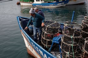 Subpesca desarrolla 7 medidas que ampliarán el abanico de recursos a los que pueden acceder pescadores artesanales