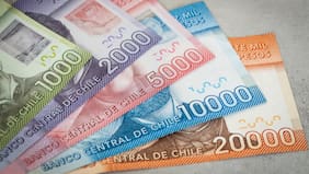 Aporte Familiar Permanente: cuáles son los requisitos para recibir el ex Bono Marzo